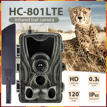Suntekcam 4G HC-801LTE Hunting Trail Camera IP65 Night Vision Waterproof Photo Traps 0.3s MMS/SMS/SMTP/FTP Hunting Photography