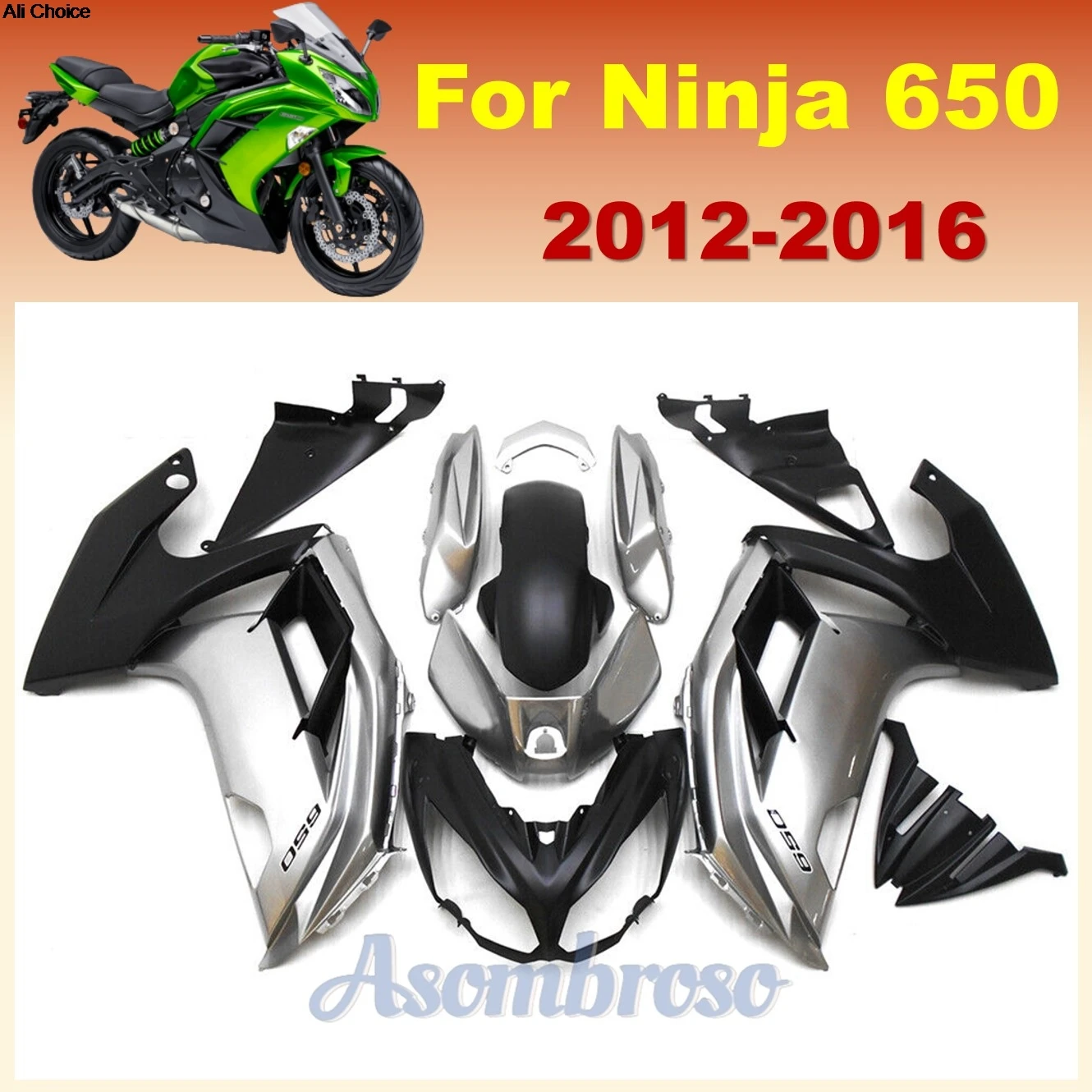 

Fairing Kit For KAWASAKI Ninja 650 2012 2013 2014 2015 2016 ER-6F Customizable Motorcycle Bodywork Set | Silvery/Black