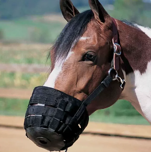 Adjustable Nylon Horse Muzzle Halter Collar Anti Chewing Harness Stop Horse Overeating and Stall Cribbing