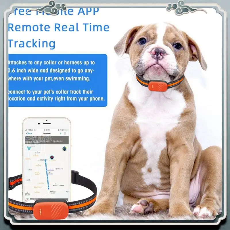 Rastreador GPS duradero G51 2/4G, localizador antipérdida resistente al agua, dispositivo de búsqueda de Collar inteligente, aplicación de Control remoto de timbre para perro