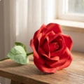Red-20CM A