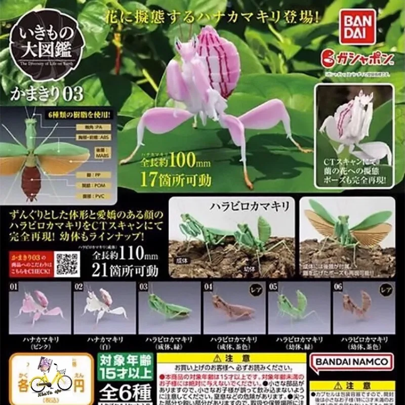 

BANDAI Original Japan Gashapon Action Figure Cute Simulation Insect Orchid Mantis Capsule Toys Kawaii Anime Figurine Boys Gift