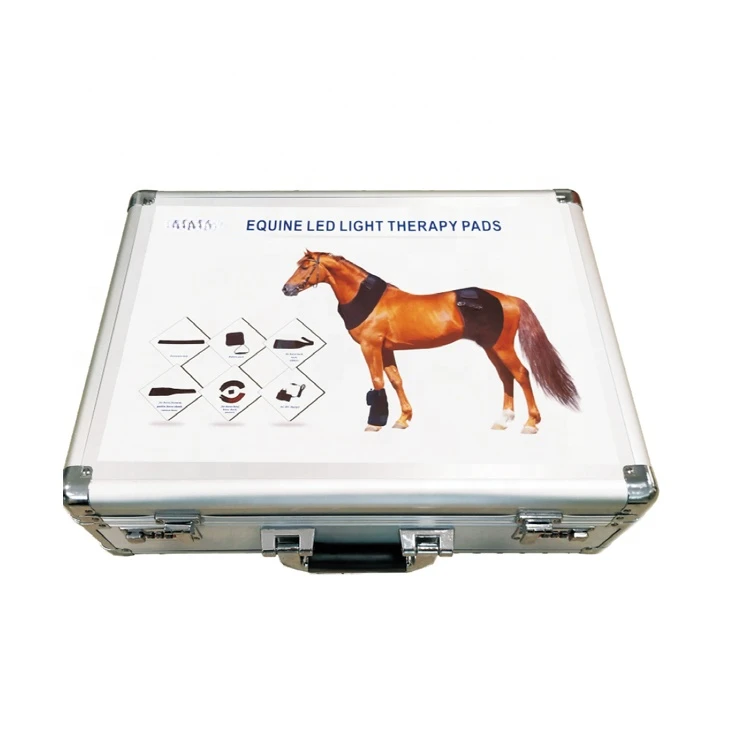 equine light therapy horse horse therapy blanket near infrared light