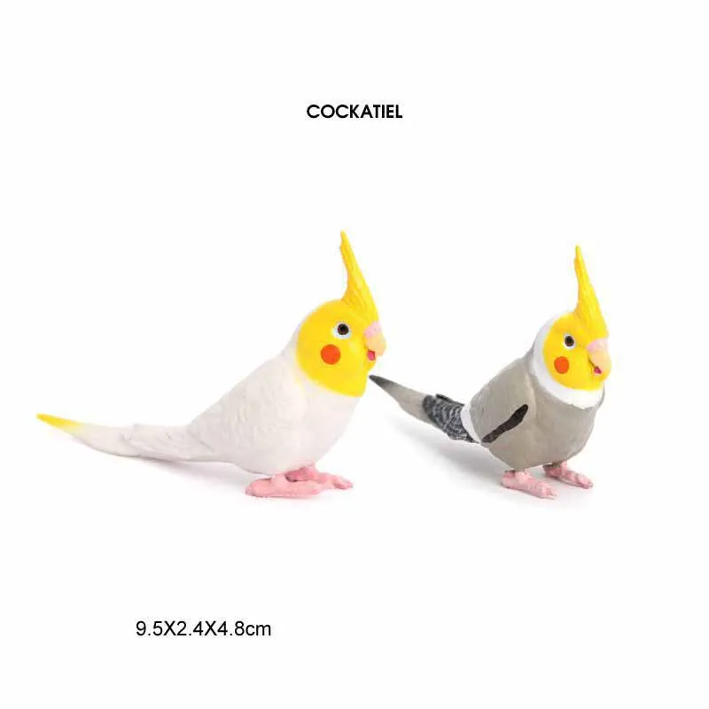 Kids Cognitive Early Education Toys Simulation Wildlife Model Flying Birds Simulation Static Solid Xuanfeng Parrot Toys Gifts