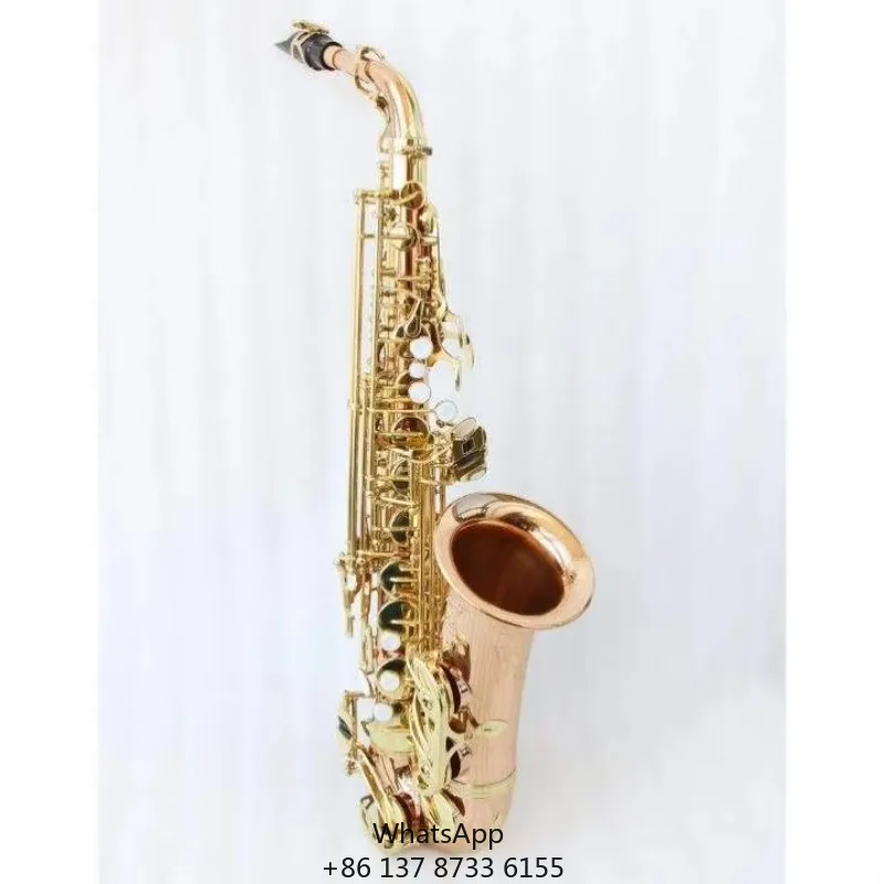 Wholesale Price Focustyle Eb Alto Saxophone High Grade Gold Bronze Clear Lacquered Adjustable Wind Instrument