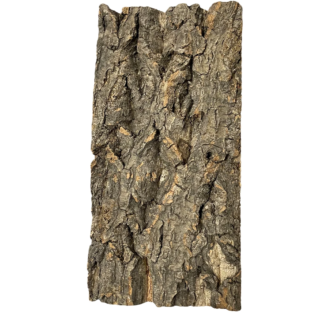 Tablero de fondo de corteza, decoración de árbol Natural de 10x20cm, terrario, tanque de reptiles, acuario de peces, escena de pared de estudio, accesorios de corcho