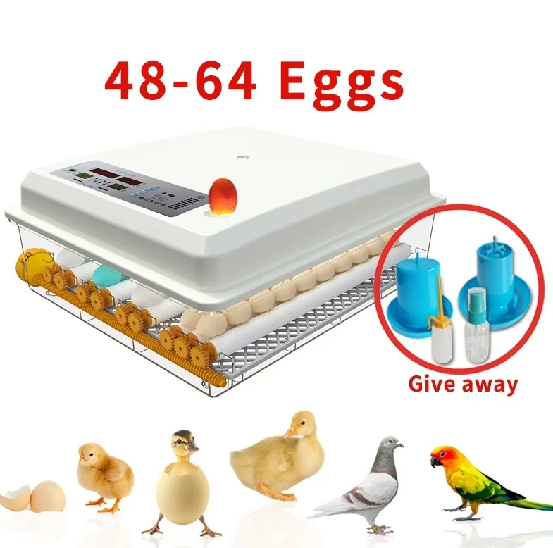 

48-64 Egg Incubator Fully Automatics Incubators Automatics Hatching Machine Chicken Egg Incubators and Hatcher/Dual power supply
