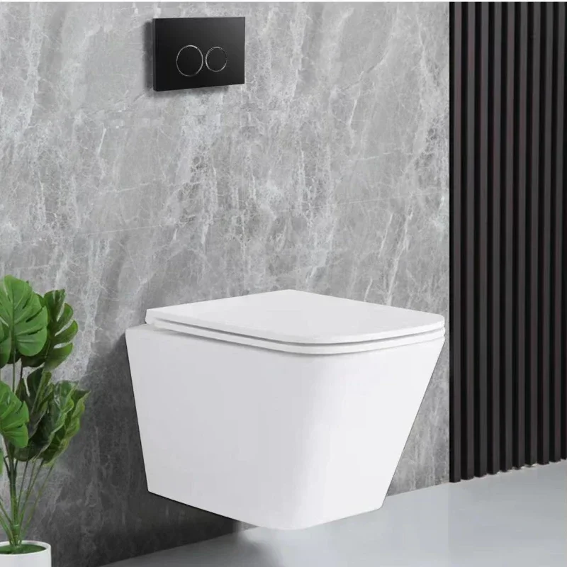 

Hot SalesWall Hung Smart Toilet With Tank Wc Pan Squat Toilet Concealed Cistern Push Button