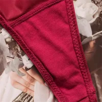 High Slit Luxury Rhinestone Women's Sexy Thin Ice Silk Thong Temption Plus Size Leopard Print/Solid Color G-string Underwear 6