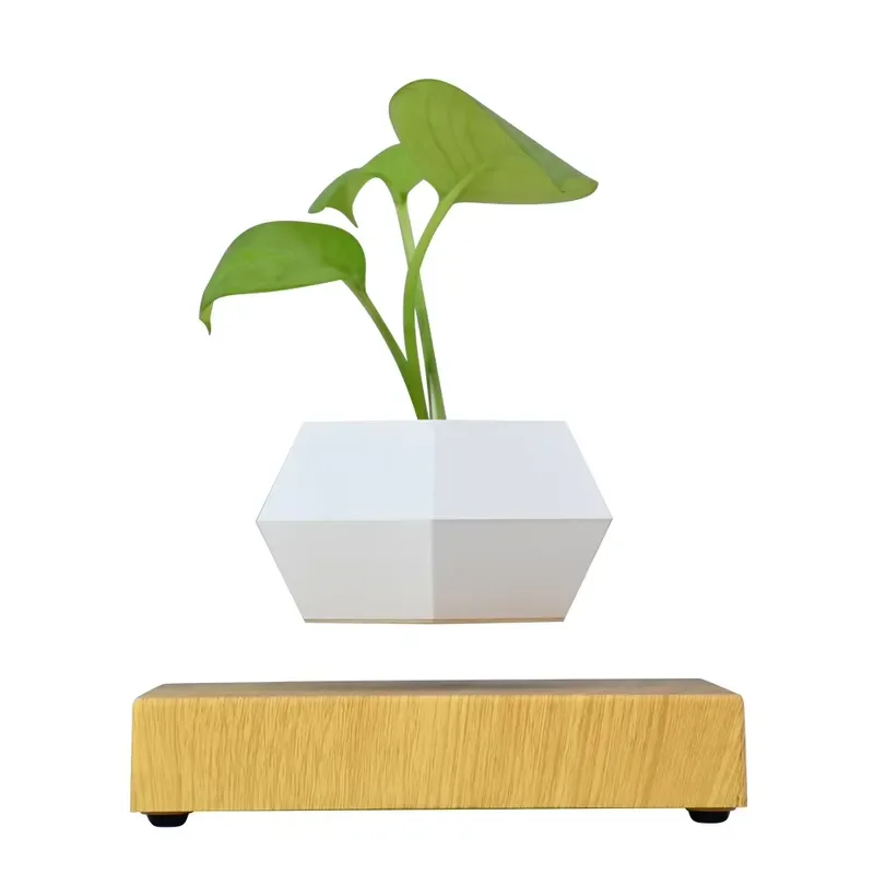 Hot Selling Magnetic Levitation Wooden Base Flower Pot Levitating Bonsai Floating Plant Pot Home Office Decoration Plant