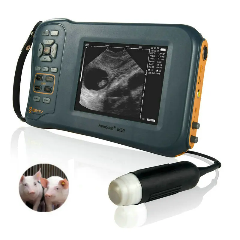 FarmScan M50 cheap portable sheep pig goat usg vet ultrasound machine price