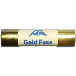 1Pcs AMR 5x20mm T1A T2A T3.15A T4A T5A T6.3A T10A H250V Gold Fuse European Audio Amplifier HIFI Gilding Cap Silver Wire Fuses