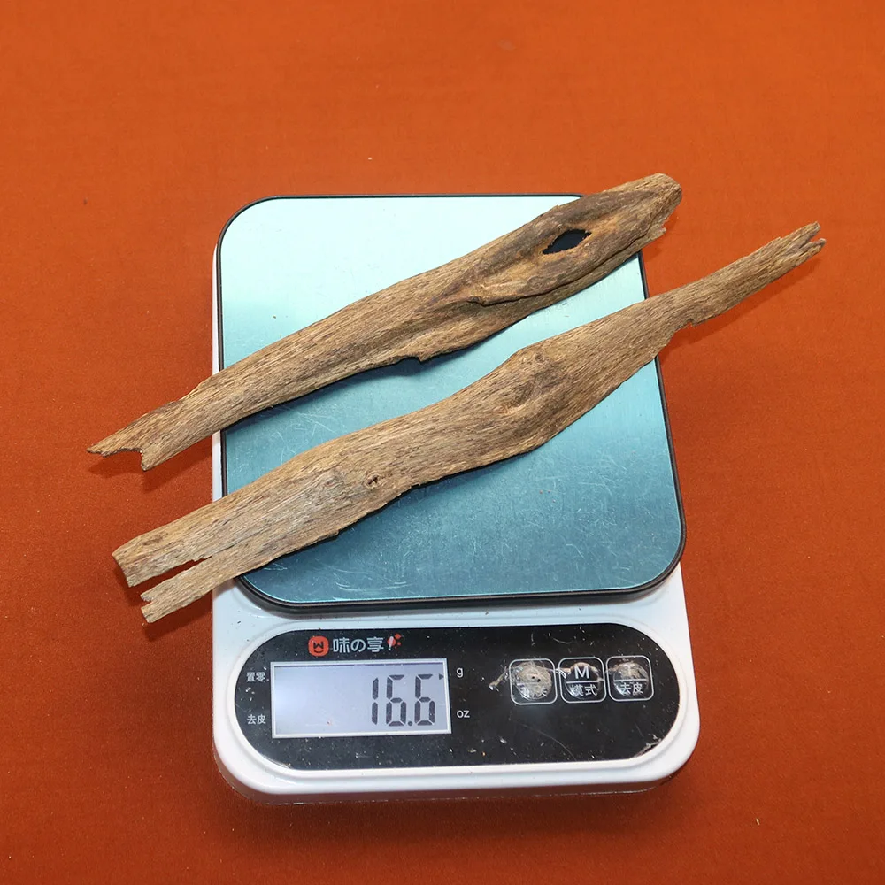 Chinese Kynam Shell 16gram Full Resin Oil Aromatherapy Home Wood Craft Decoration Sweet Smell StrongWindow Display