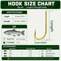 Size 6