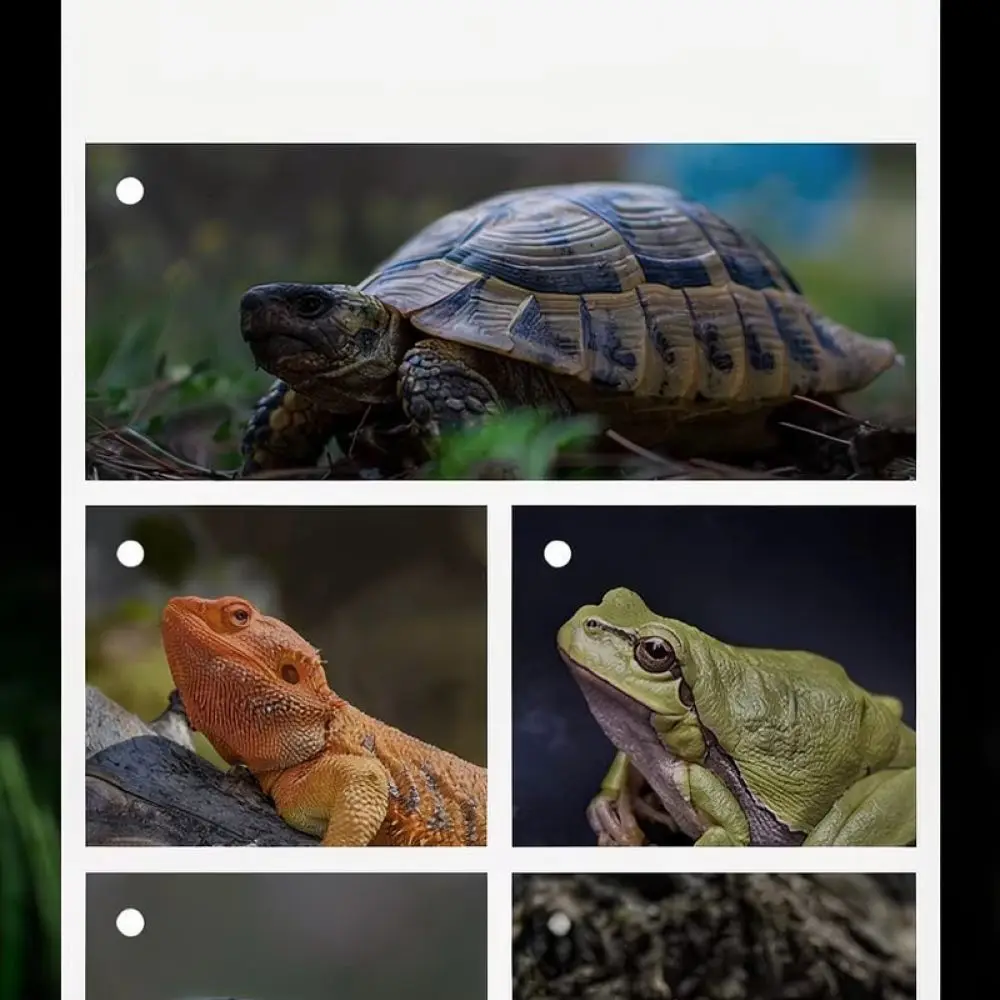Simulation Resin Basking Island Turtle Dock Floating Ramp For Cleen Aquarium Tank Ornament Reptile Habitat Pet Decoration