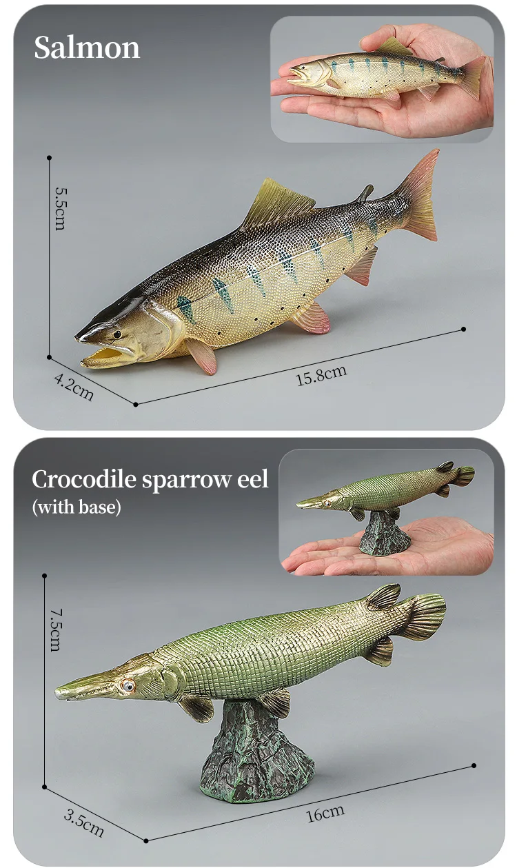 Meeresleben-Tiere-Modell, Actionfiguren-Set – Ozeanfisch, Thunfisch, Segelfisch, Bass, Zacker, Lachs, PVC, Lernspielzeug für Kinder – Detail 20