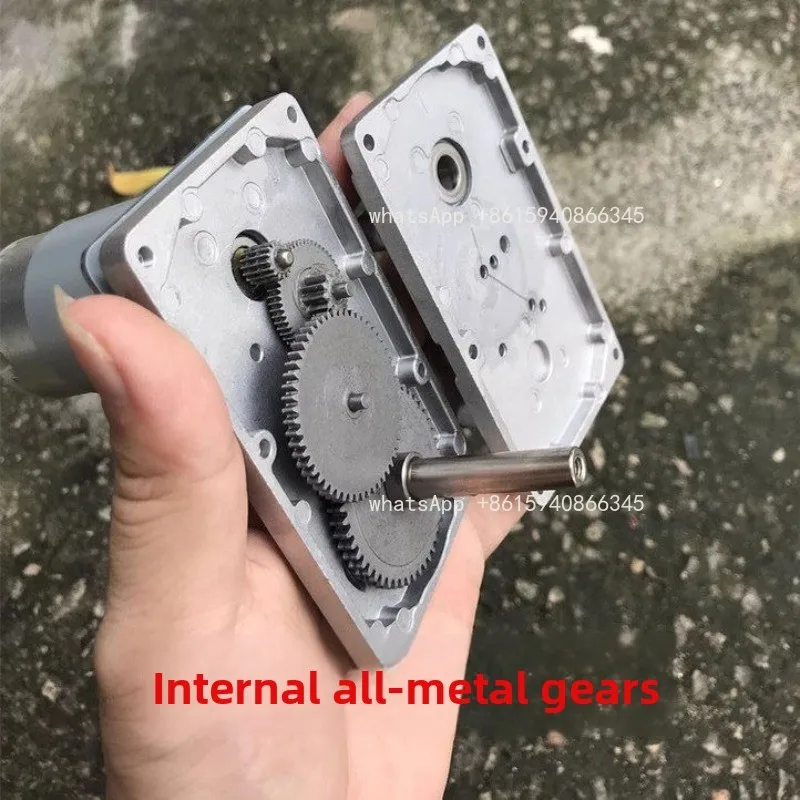 High Torque Silent Adjustable Speed DC Reduction Motor 12V 24V 220V Reciprocating Micro Gear Motor