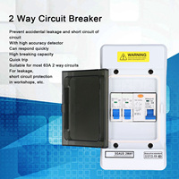 Protective Circuit Breaker 2 Way Circuit Breaker IP66  Leakage Circuits Breakers 40A 30mA RCD+2MCB(6A+16A) 230V AU