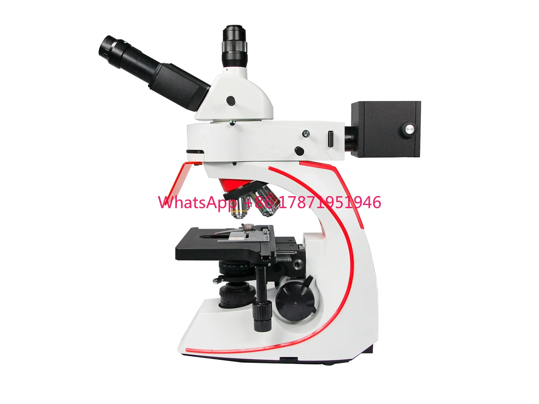 BMC533-FLED-B infinite optical system biological led microscope fluorescence microscope for medical diagnosis