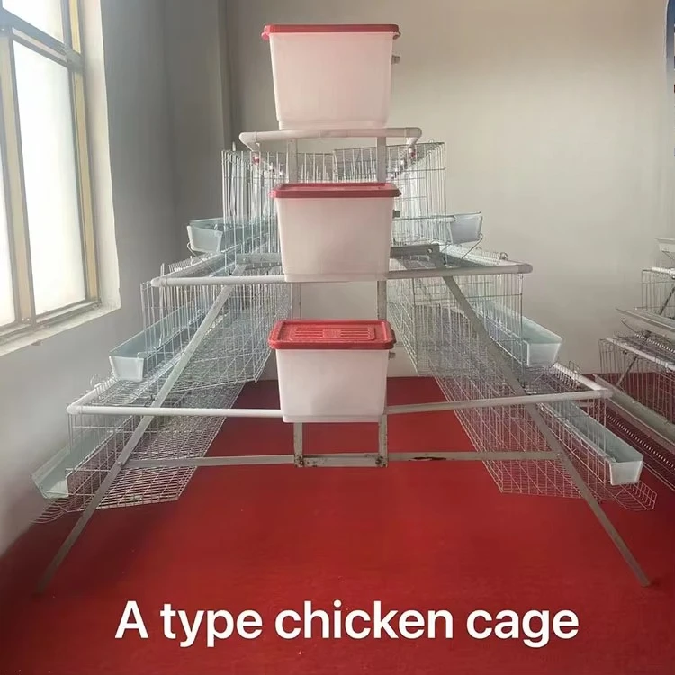 

Good Quality A-Type Layer Poultry Farms Galvanized Material Egg Layer Chicken Cages