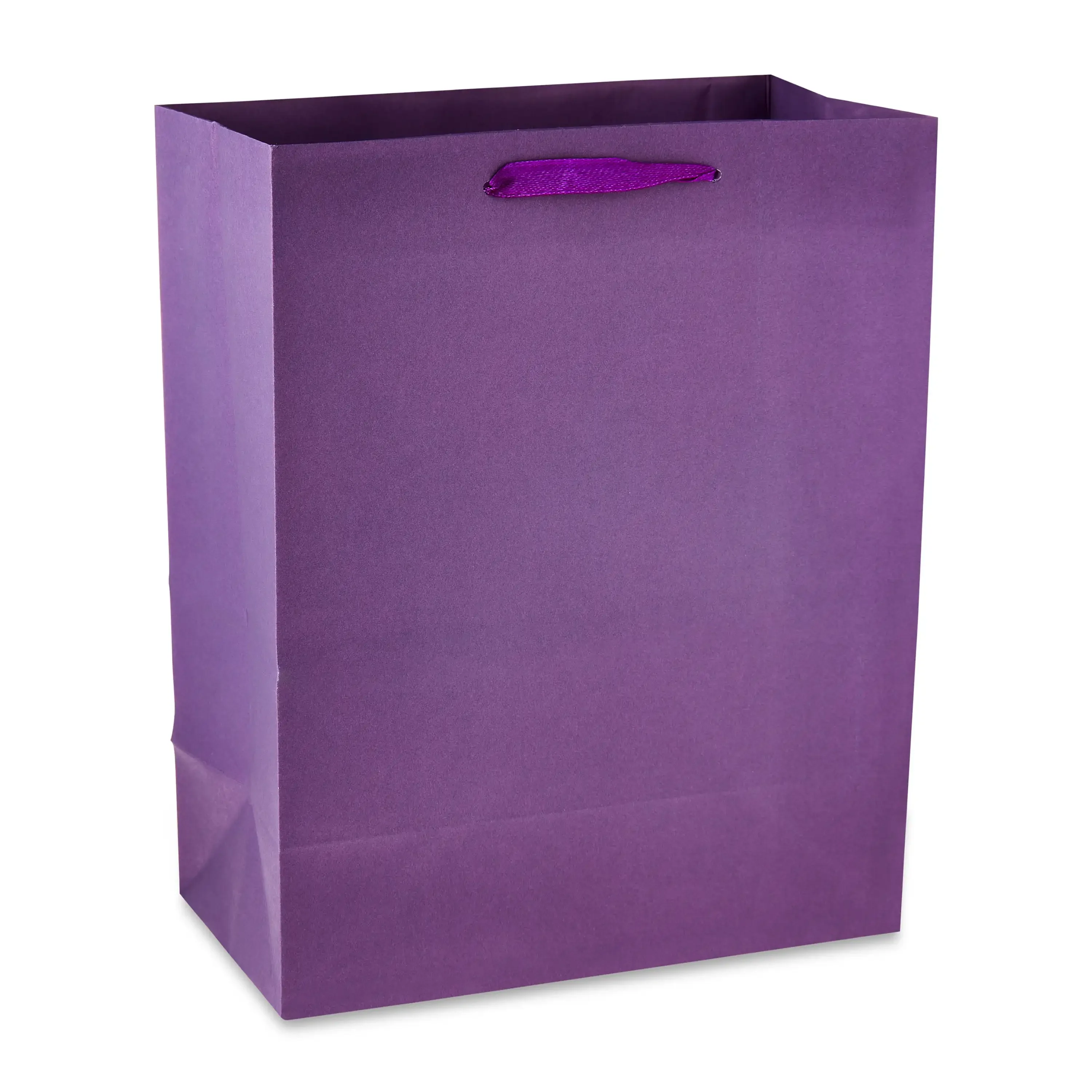 

Large Multicolor Paper Bags, 8" x 10", 13 Count