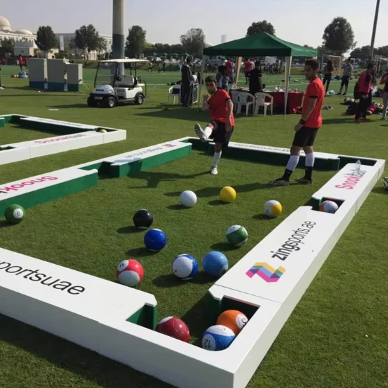 Pool and Snooker Ball Games Complete Set for Children and Teenagers Indoor/Outdoor Use 16 Balls