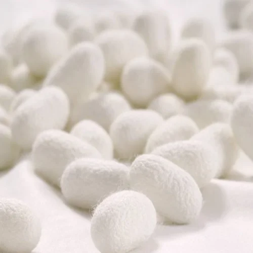 Imagen 2 del producto Velos de seda para danza del vientre, 100% de seda auténtica, accesorios de bailarina ligeros, bufanda para lanzar a mano, accesorio de traje de danza Oriental de adoración, 250cm