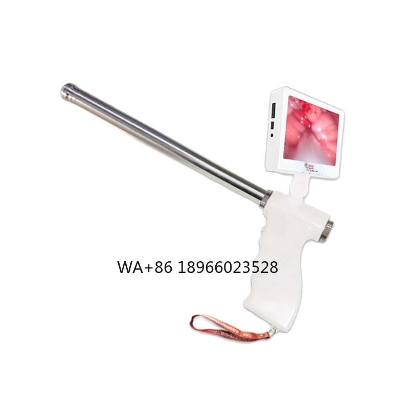 

insemination with Veterinary Equipment Digital visual artificial insemination for cattle cow artificial