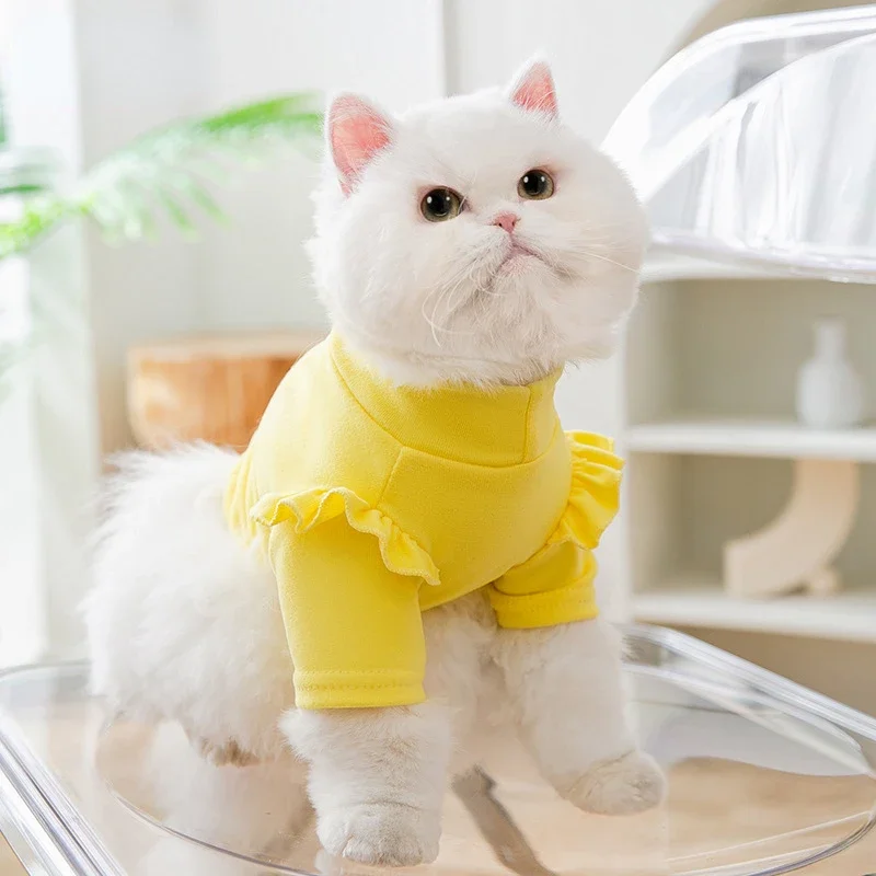 Pet Undershirt Autumn and Winter with Small Fly Sleeve Thin Small Dog  Hair Two Feet Cat Clothes