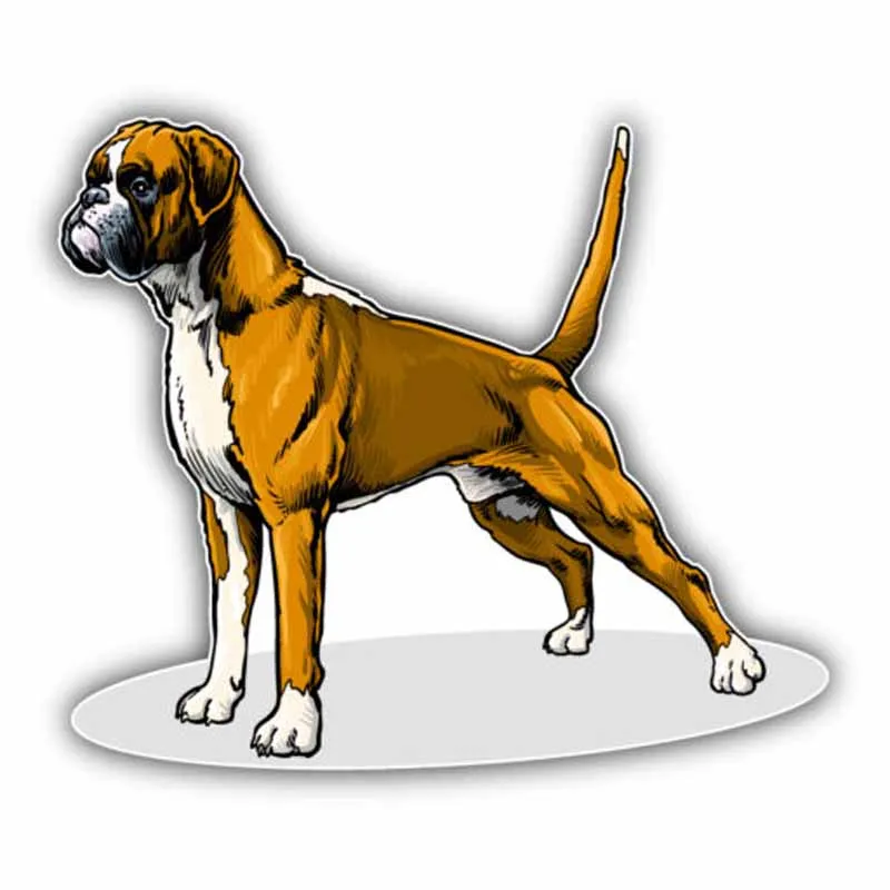 Boutique Decals Car Sticker Exterior Accessories Cute Boxer Dog Auto Motorcycle Off Road Personalized Polyethylene Decal 14*11CM