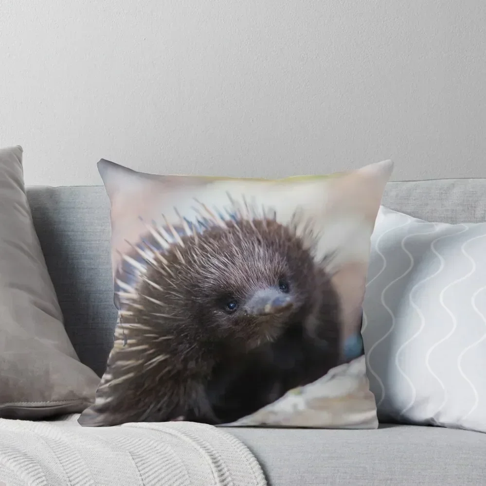 Echidna Throw Pillow ornamental pillows for living room Sofa Decorative Covers Anime New year pillow