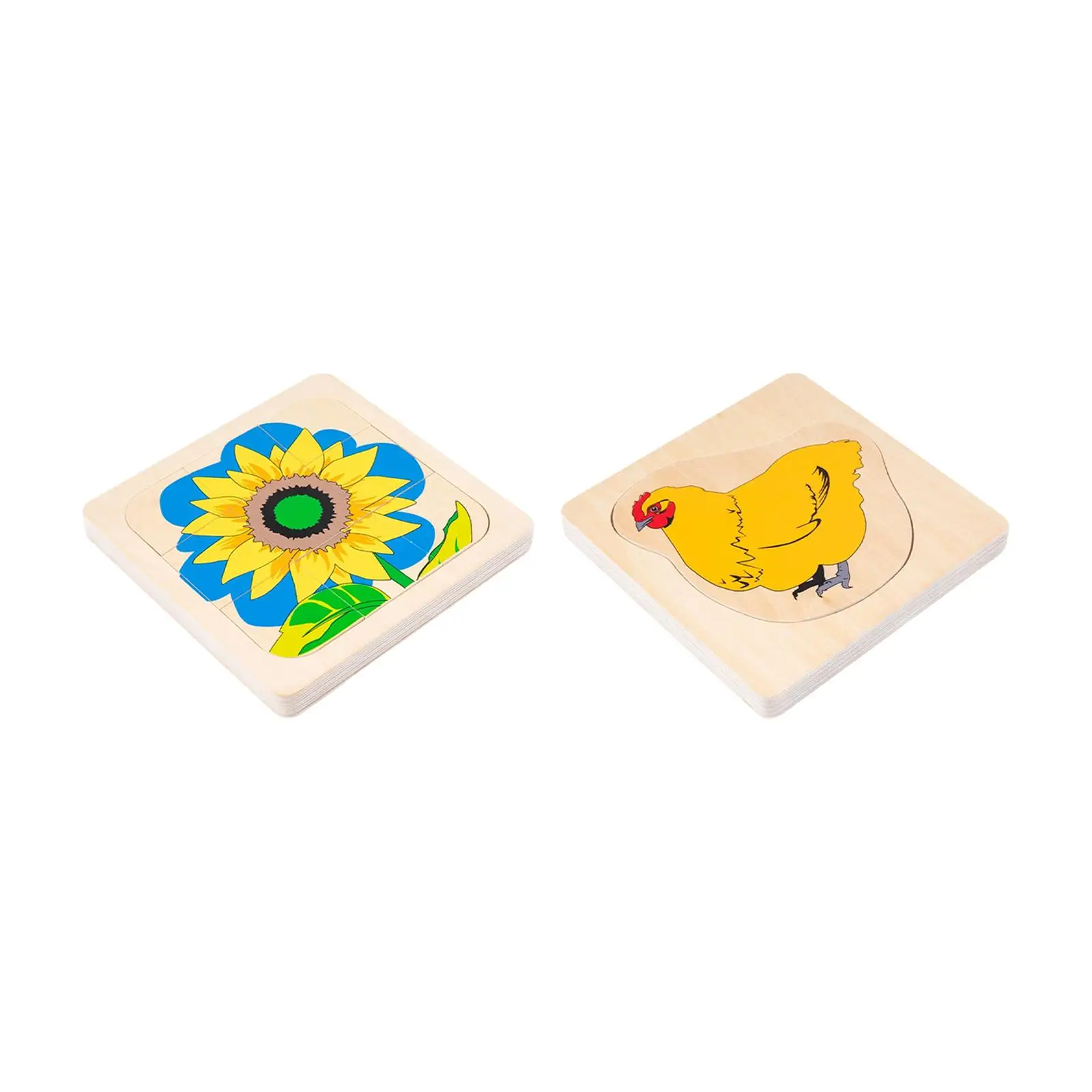 Wooden Life Cycle Puzzle Kids Jigsaw Puzzle Educational Puzzles Multi Layer Ages 4 to 8