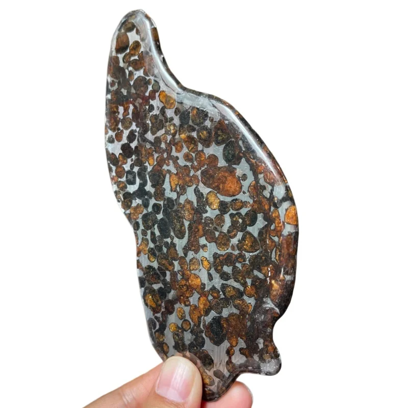 Sericho Pallasite Meteorite Slice Kenya Polished Olivine Meteorite Irregular Piece Natural Space Collection Specimen QA894