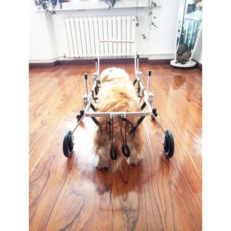 paralysis Large dog quadriplegia Dog wheelchair Large dog disability vehicle Full body four wheel dog wheelchair