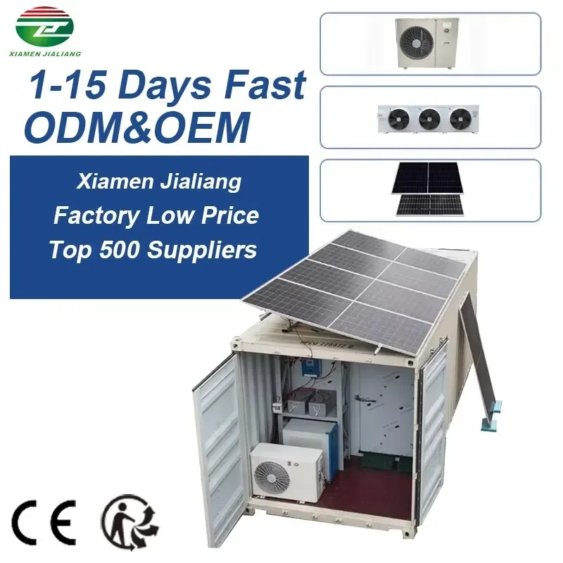 20Ft 40Ft Solar Container Cold Storage Freezer System with Compressor Energy Saving Customized Service