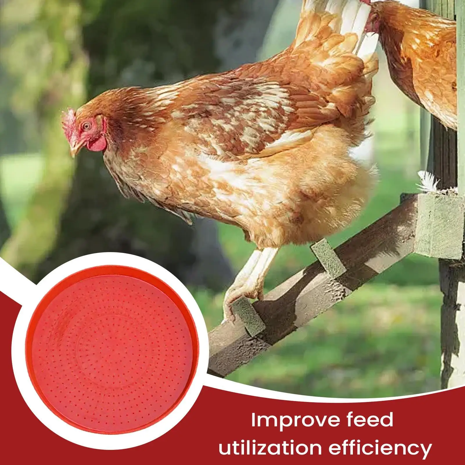 Poultry Feeding Plate 2 Pieces Outdoor Chick Food Feeder Plate Non-Slip Bowl For Coop Hen Goslings Quail Pigeons Outdoor