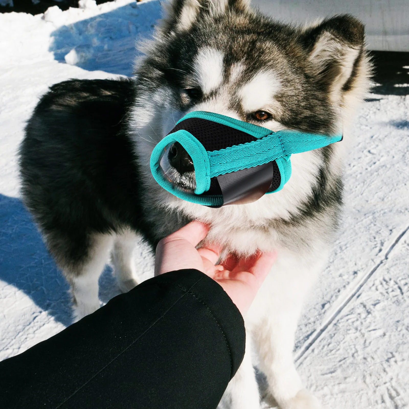 

1pc Dog Muzzle Adjustable Breathable Puppy Mouth Cover For Small Dogs Outdoor Walking Dog Mouth Covers Pet Supply