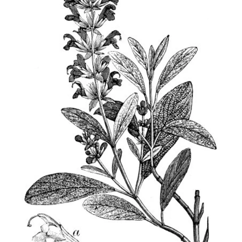 

4 шт. 128 мм 1/10 Monster Stunt Truck шина 12 мм и 14 мм шестигранная для TRXS MAXX ARRMA Granite KRATON Outcast Tamiya Losi Redcat