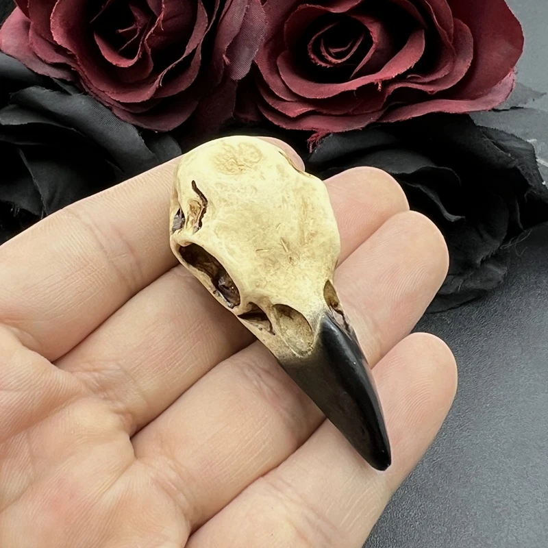 2pcs 2.6 in 3D Crow Skull Men's Skull Necklace Pendant Magpie Gothic Halloween Gift Bird Skull Handcrafted Jewelry Accessories