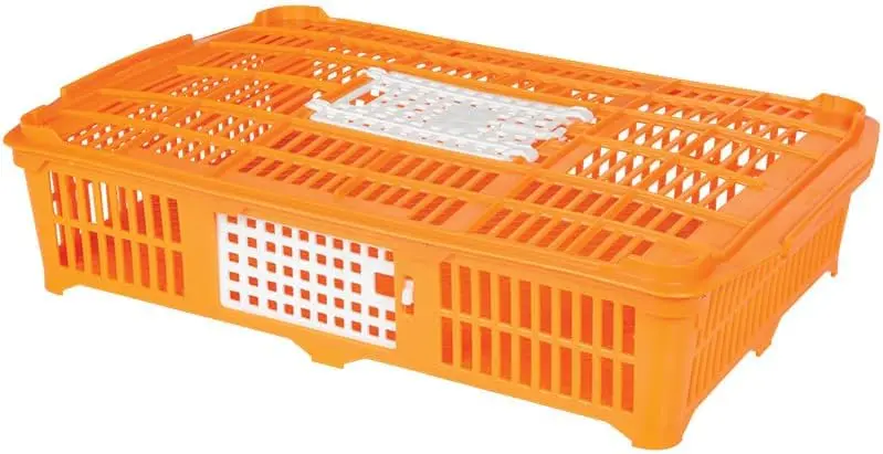 Quail Transport, Plastic Crate, No Color Mentioned, Standard Size for Single Use