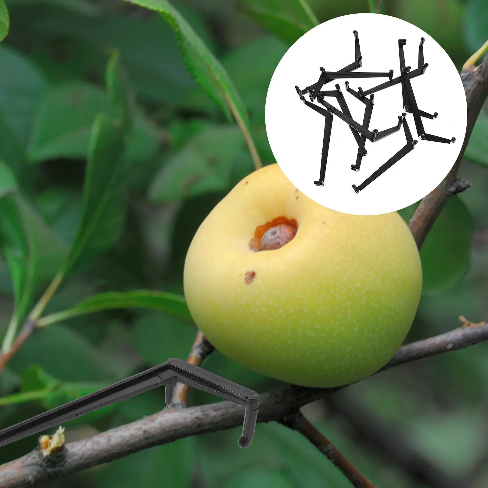 10Pcs Plant Branch Spreader Professional Reusable Branch Bending Clips for Pear Peach Trees Plant Training Control Clip