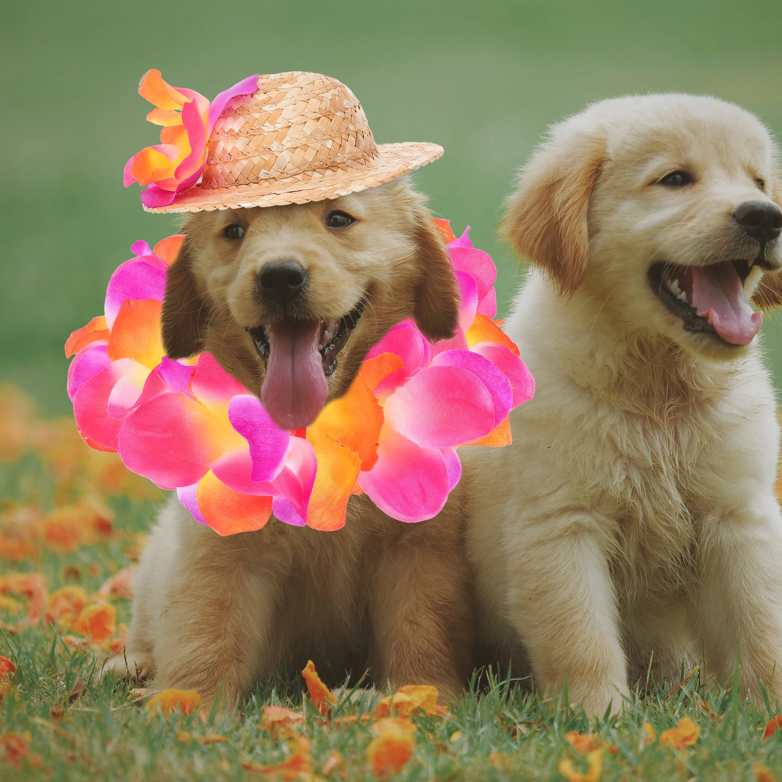 

1 set 1 Set Pet Dog Hat Summer Beach Party Accessories Puppy Costume Straw Garland For Small Dogs Lightweight Comfortable
