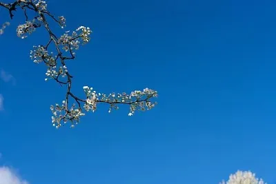 

Металлический корпус коробки передач из алюминиевого сплава 6061 для радиоуправляемой машины WLtoys 244016 1/24, запасные части