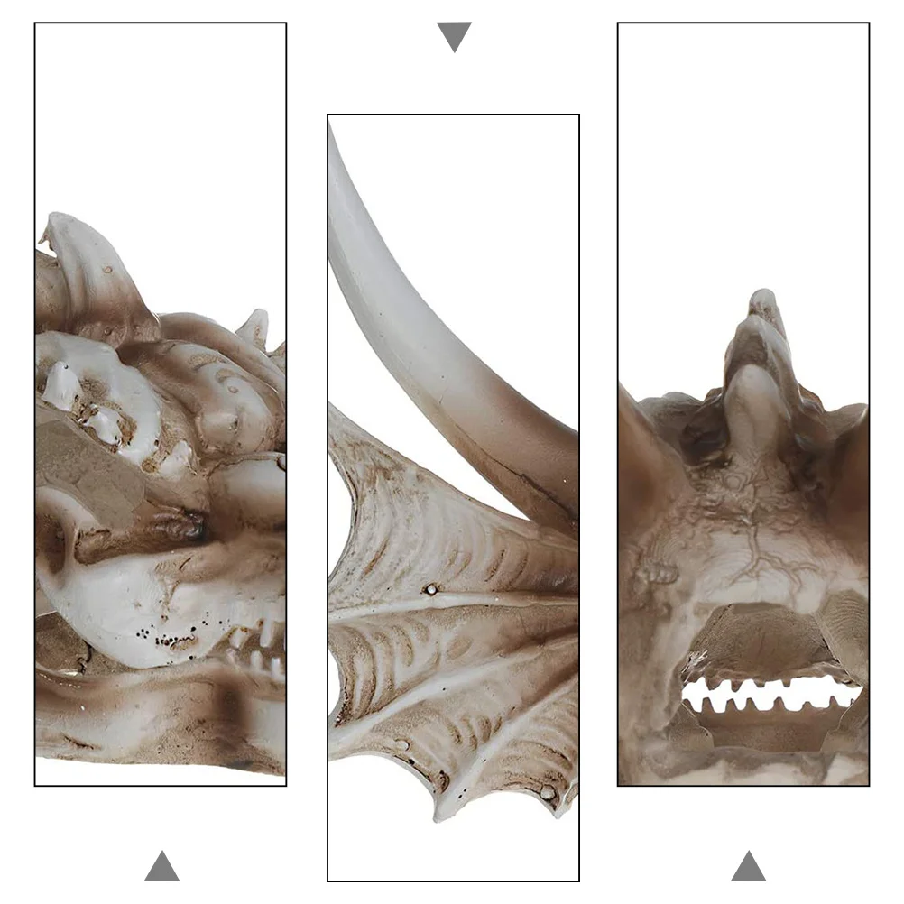 

Dinosaur Skull Decor Resin Fish Tank Ornament Lifelike Aquarium Landscaping Prop Creative Chic Craft Aquarium Decor