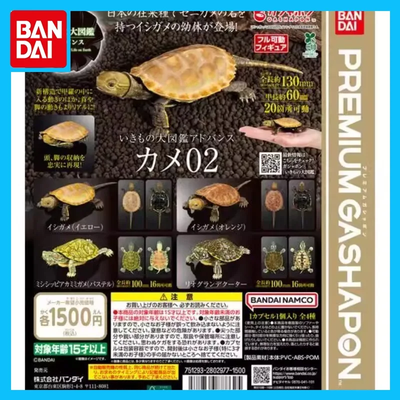 

Bandai Original Premium Gashapon Imitation Turtle Action Figure Toys for Boys Girls Kids Gift Collectible Model Ornaments