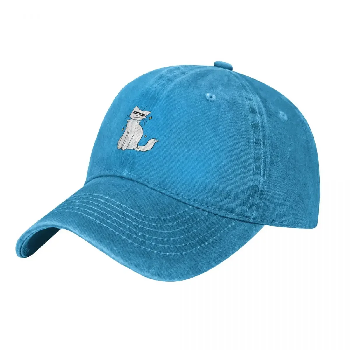 

A Really Cool Cat Baseball Cap Luxury Hat Golf Hat Man Boy Child Women's