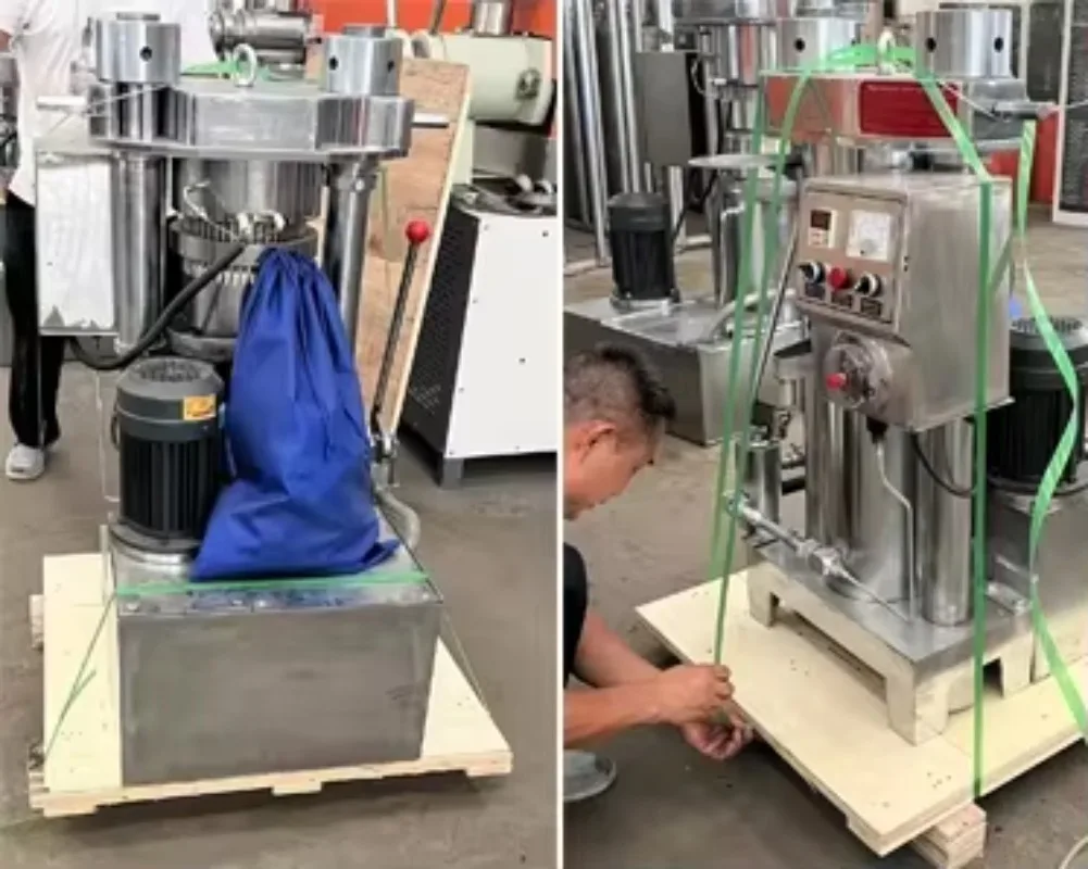 Automatic Oil Press Hydraulic for Sesame Coconut Olive Peanut Palm Cold Pressed Oil Extraction Machine Custom