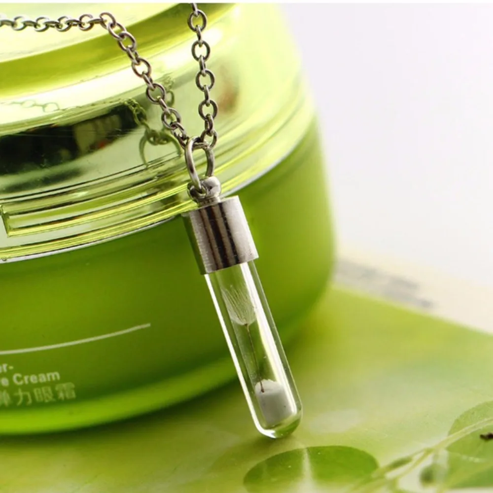 Transparent Glass Perfume Vial Pendant Wishing Bottle Clear Charm Glass Bottle Necklace Jewelry Gifts Glass Bottle Necklace