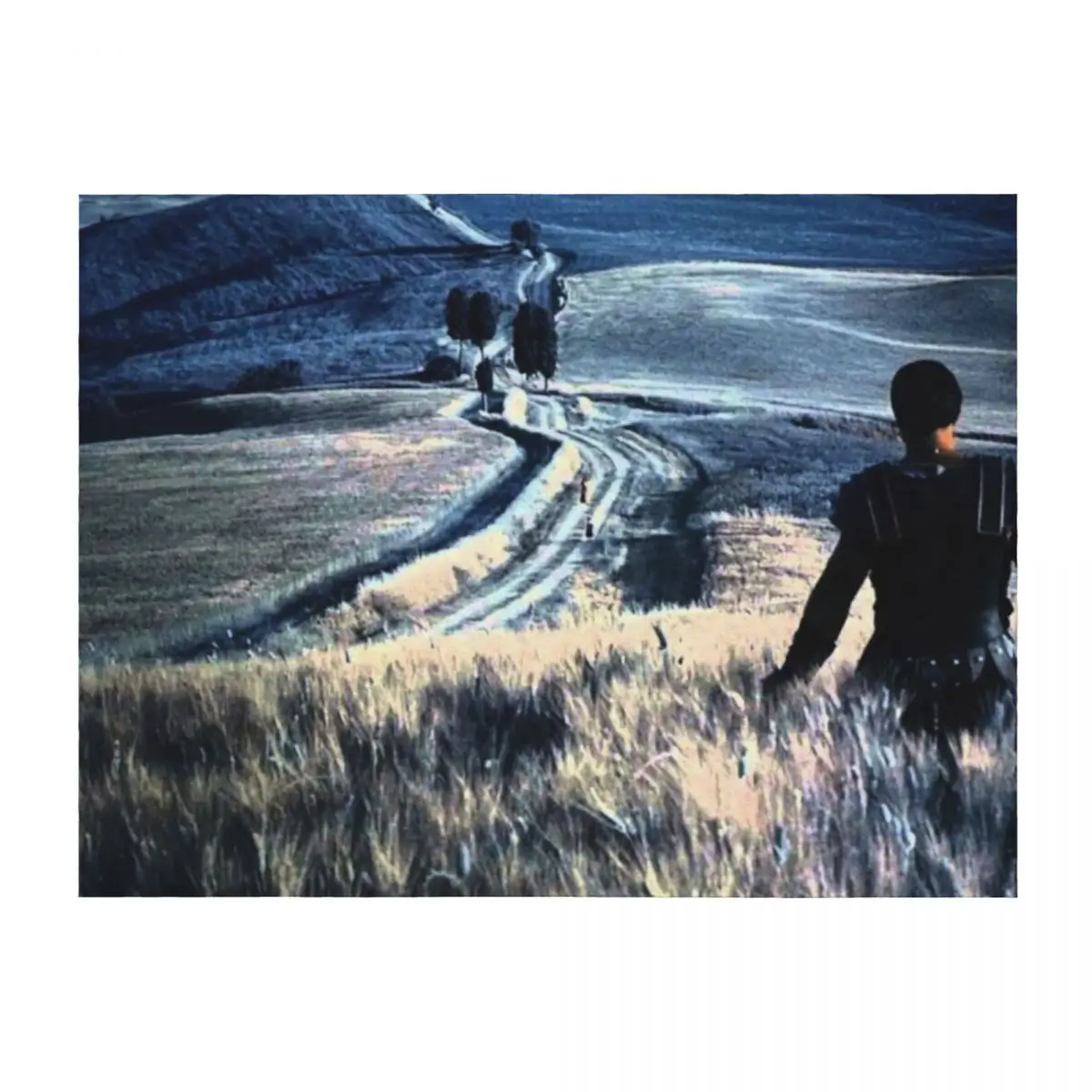 

Gladiator Elysium Fields Throw Blanket Decorative Throw anime Designers Luxury Brand Blankets