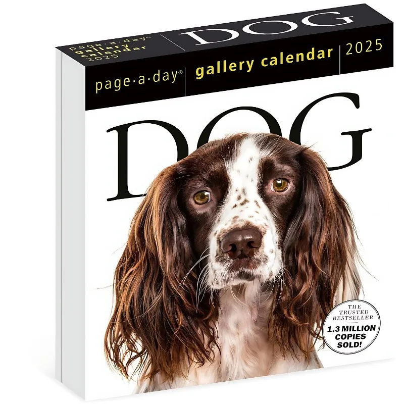 

2025 Gallery Calendar Dog Pet Photography One Page Per Day New Year Gift English Original 2025 Desk Calendar